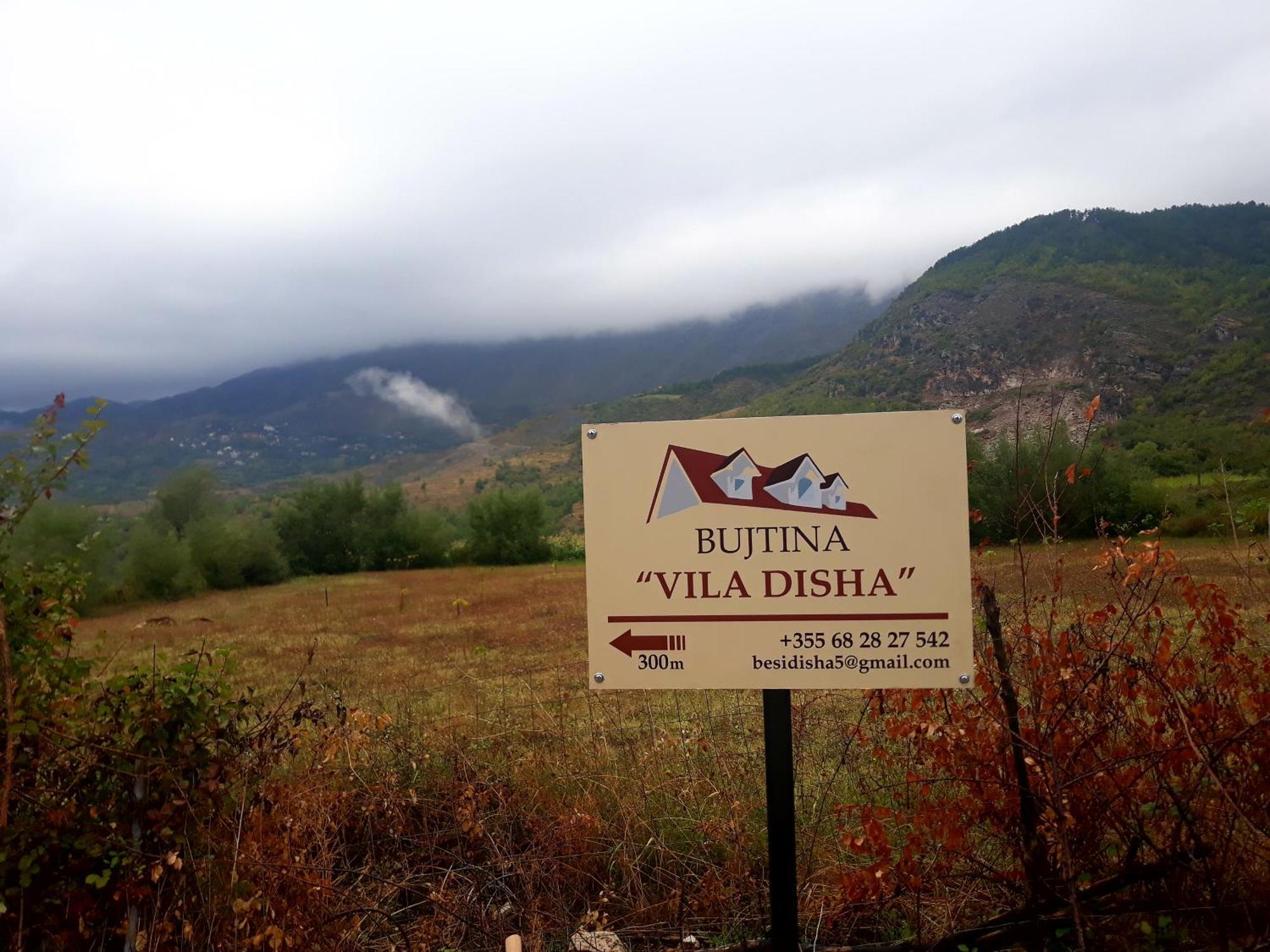 Vila Disha 티라나 객실 사진